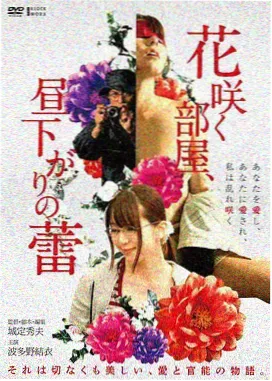 老式放映机经典剧情片在线播放